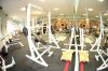 Grizzly Gym